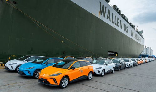 果然,歐洲制裁國產新能源車只是手段,讓我們過去建廠才是目的