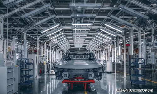 汽油價格重回7元時代,新能源汽車銷量會因此暴增嗎 答案是不會