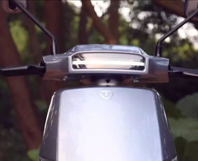 鄧超同款座駕臺鈴獅子實測,售價3899元起,最大續航180km